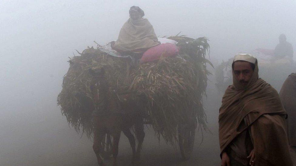 Lahore street scene shrouded in dense smog