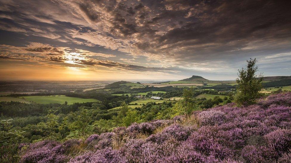 Roseberry Topping from Gribdale, North York Moors National Park