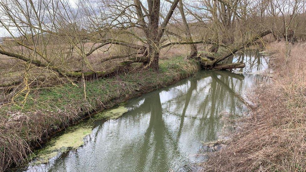 River Waveney at Scole