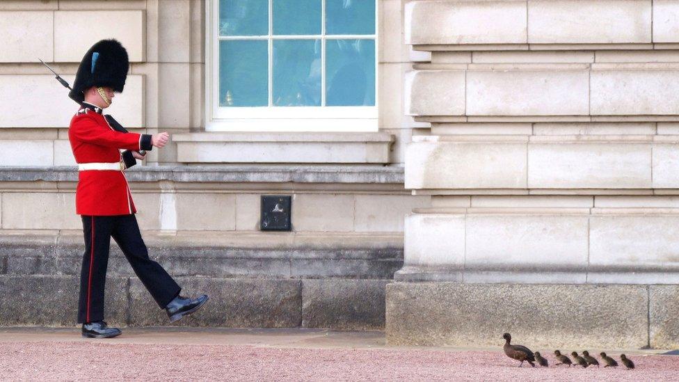 A member of the Queen's Guard marches outside Buckingham Palace during warm weather