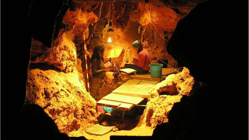 inside the El Sidrón cave (Asturias, Spain).