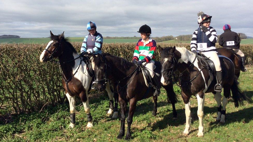 Riders on horses trotting along a countryside farm track