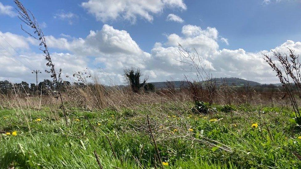 Bartonsham Meadows