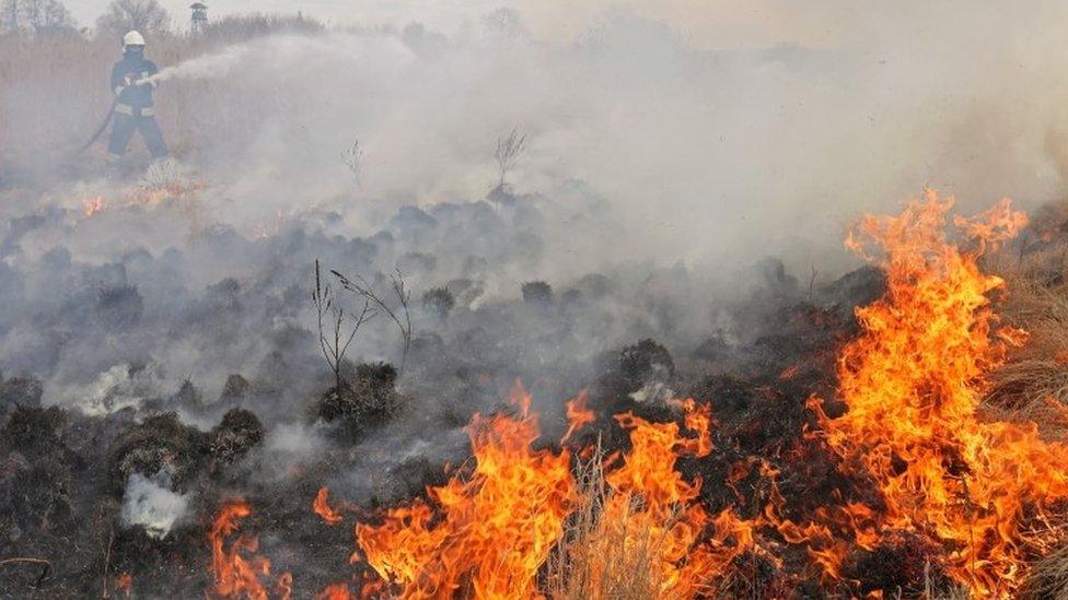 Fires in Poland