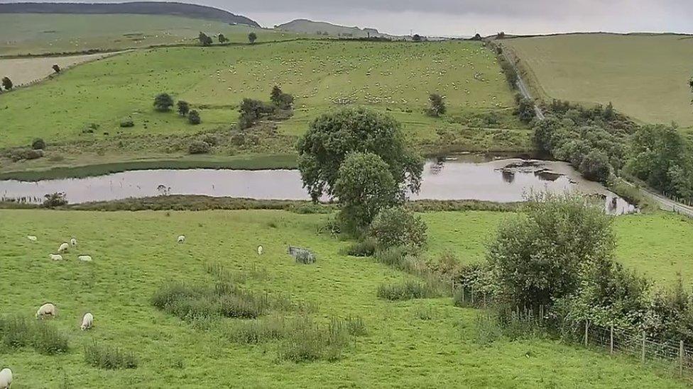 Lamb Cam near Aberystwyth