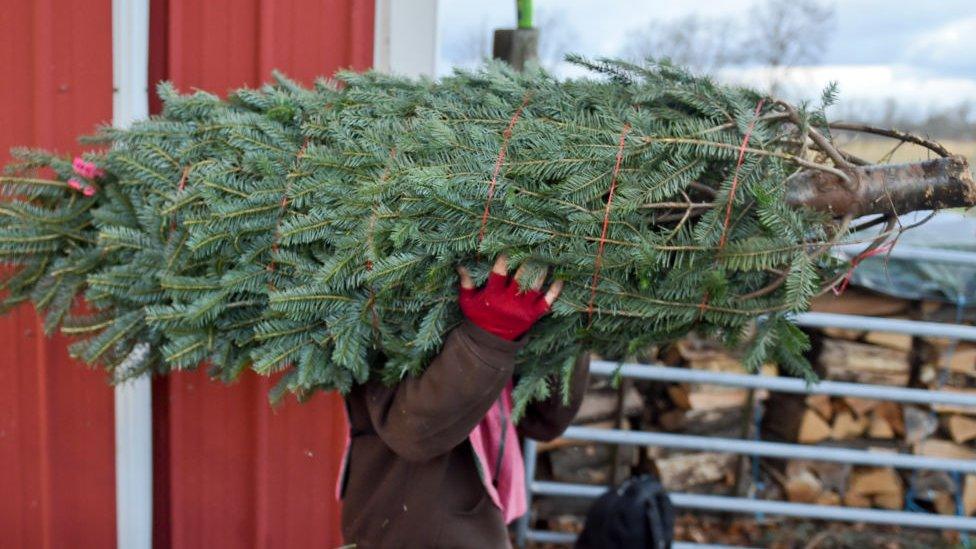 Christmas tree