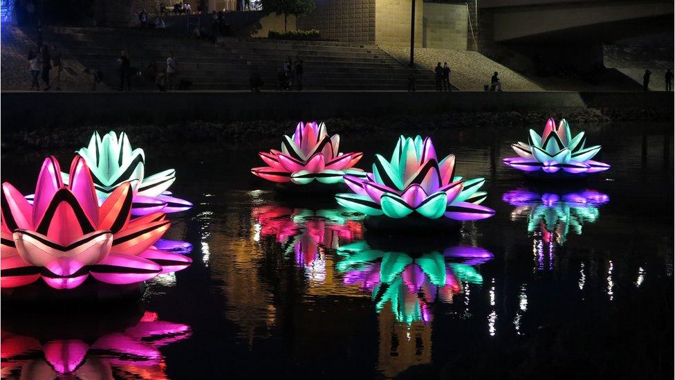 An artwork called Lilies which will be on show as part of the Winter Lights Trail in Peasholm Park for the Scarborough Lights festival