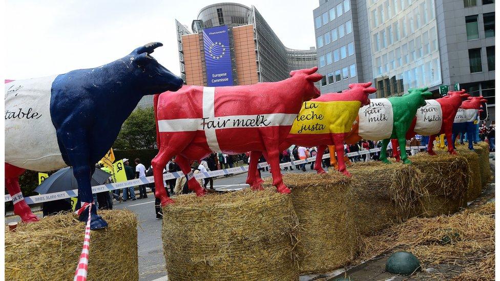 Brussels protest