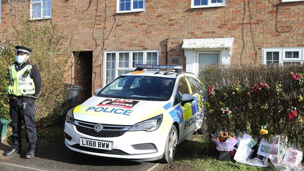 Police in Lady Grove, Welwyn Garden City