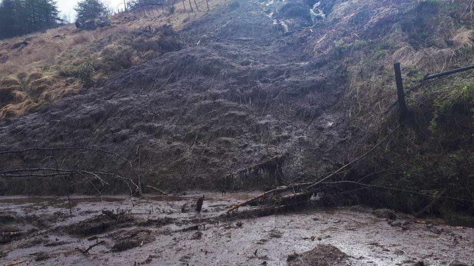 Mud and trees fallen down a hill