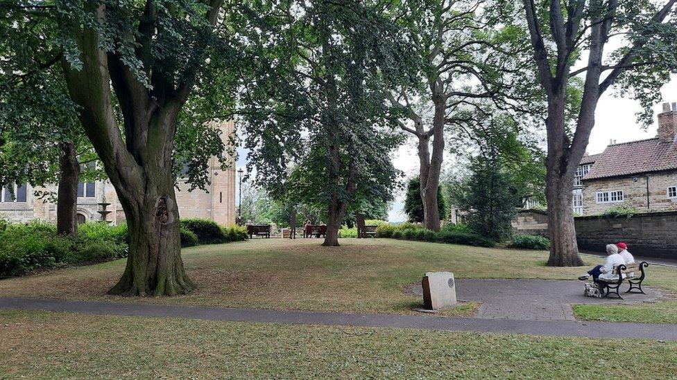 Ripon Cathedral trees