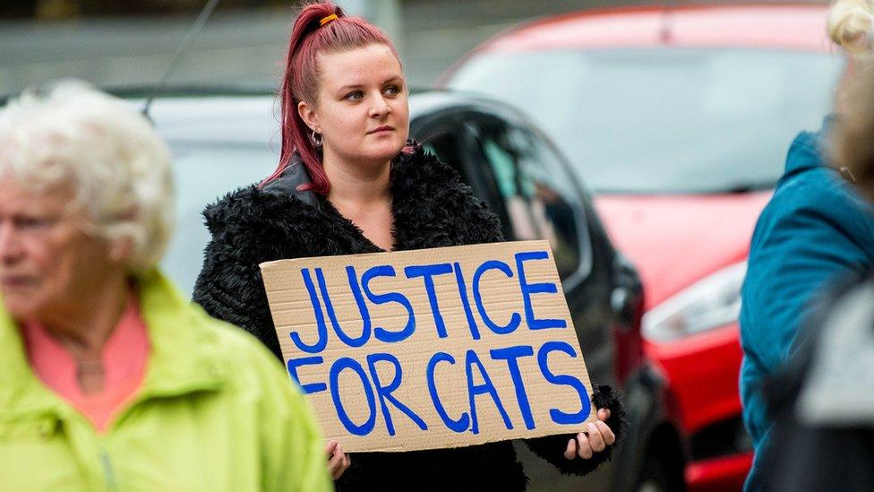 Justice for cats sign