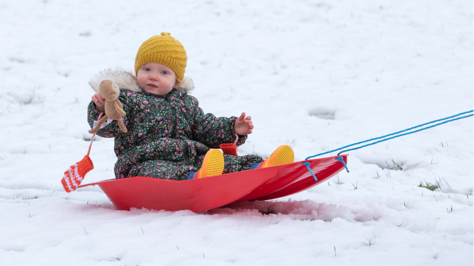 sledging Anna