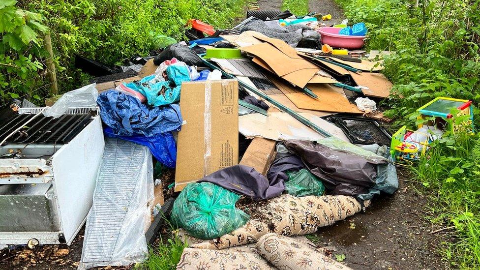 Rubbish dumped in a field in Ashley