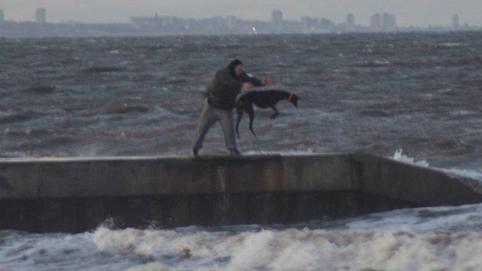 Greyhound being thrown into sea