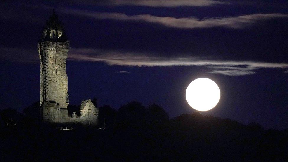 Wallace monument