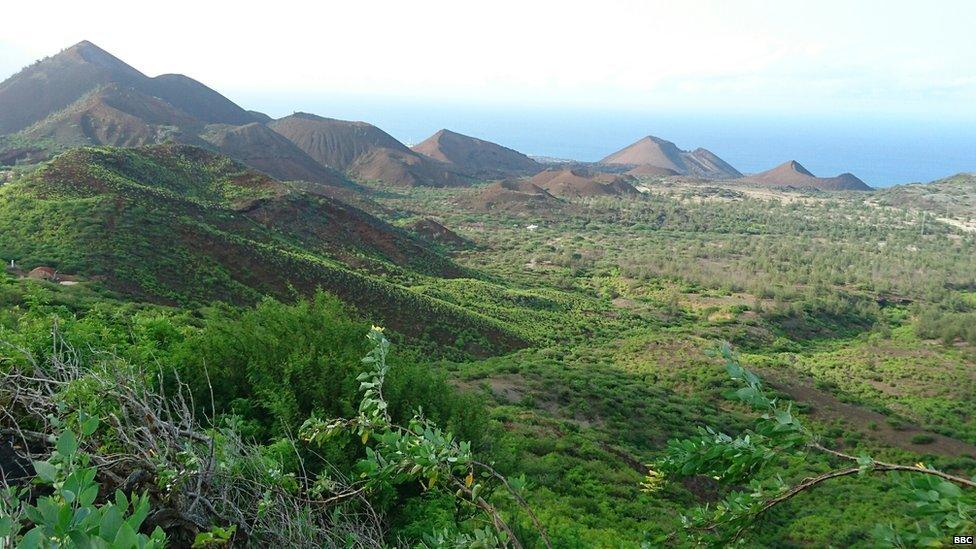 Mountainous landscape, covered in plants