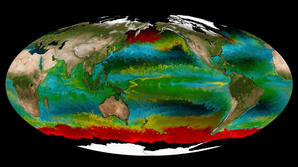 Satellite image showing four different types of phytoplankton (red, yellow, green, cyan)