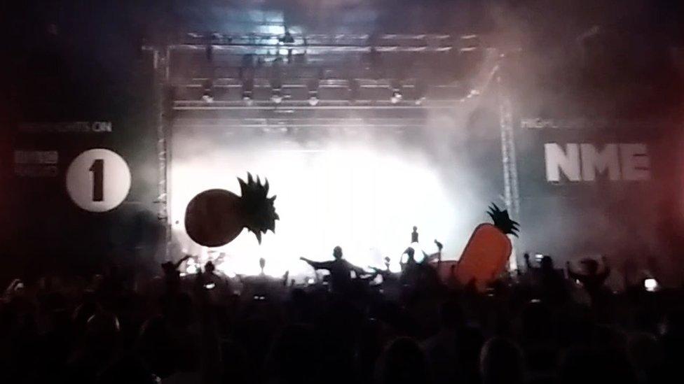 Inflatable pineapples at Glass Animals show at Reading