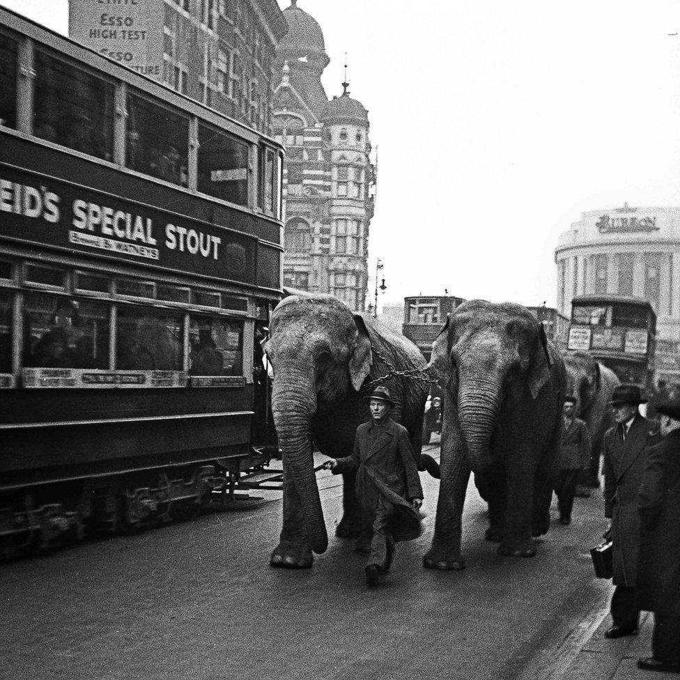 Circus in town, London 1937