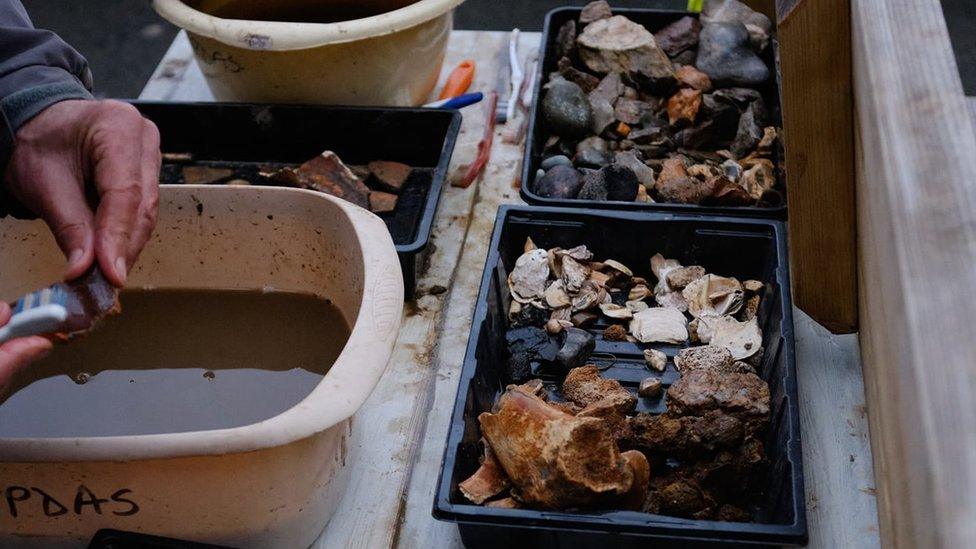 Excavated pieces from Plymouth Commercial Wharf dig