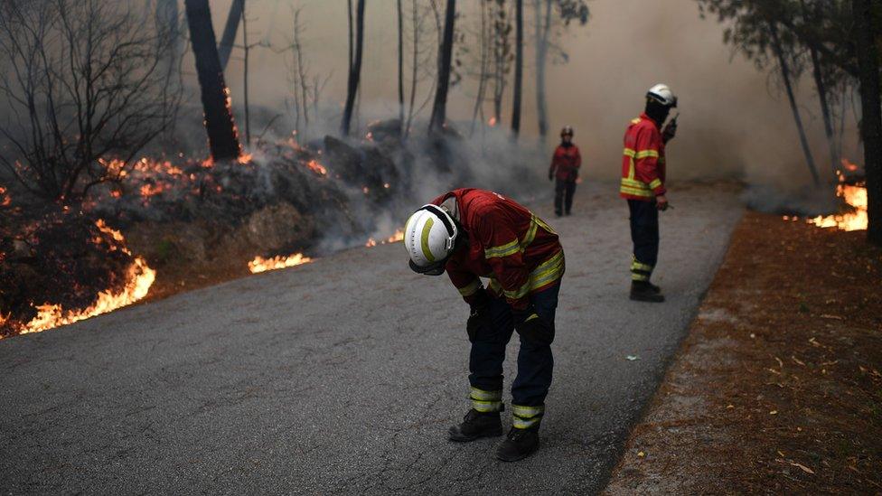 A firefighter kneels over near colleagues as they tackle a wildfire in Torredeita near Viseu, central Portugal, on 9 August 2016