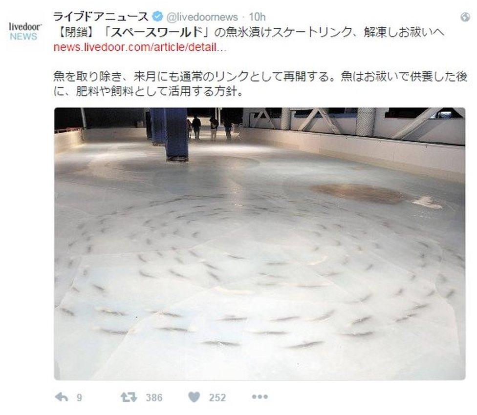 Screenshot of tweets on Japanese frozen fish skating rink