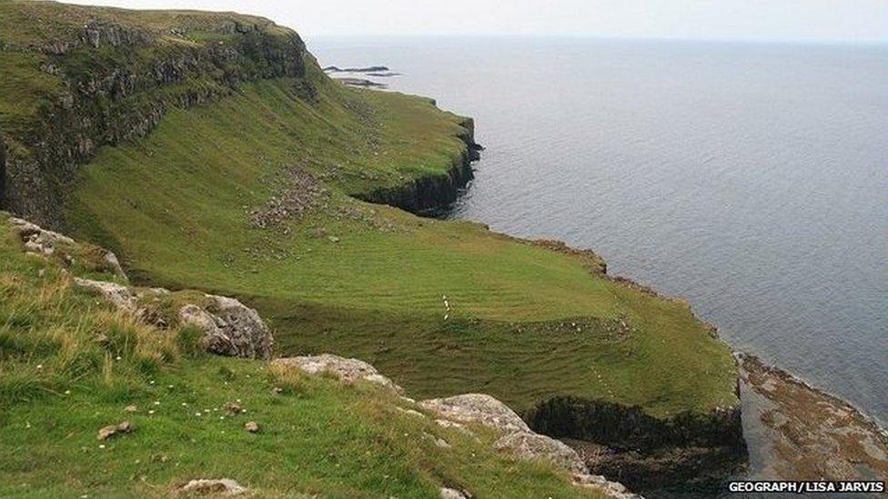 Canaigh