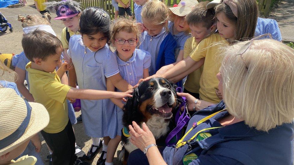 Sue Smith, founder of Carmarthenshire Therapy Dogs, with Alie the Bernese mountain dog