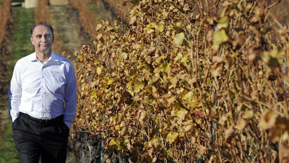 Xavier Rolet with his vineyard