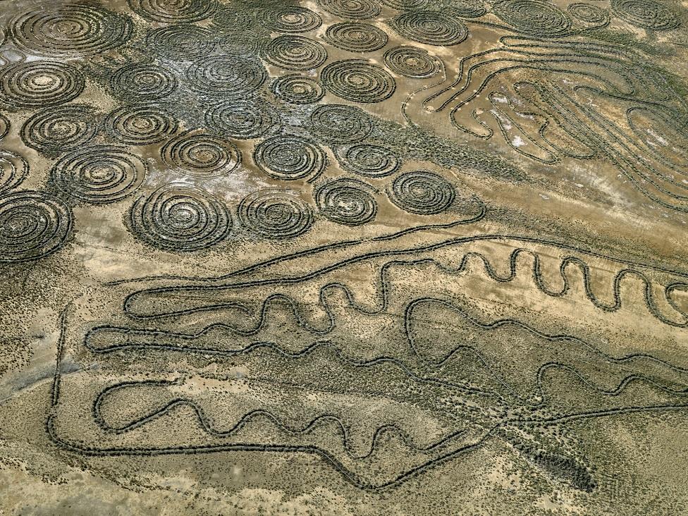 Circles and lines seen on the ground from above