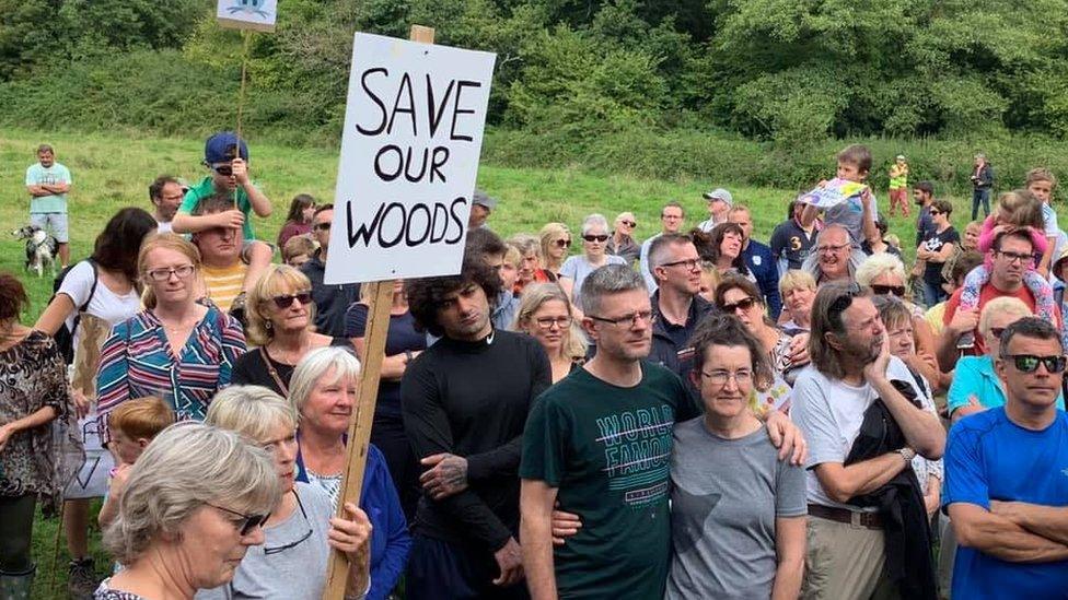 Save Dinas Powys Woods