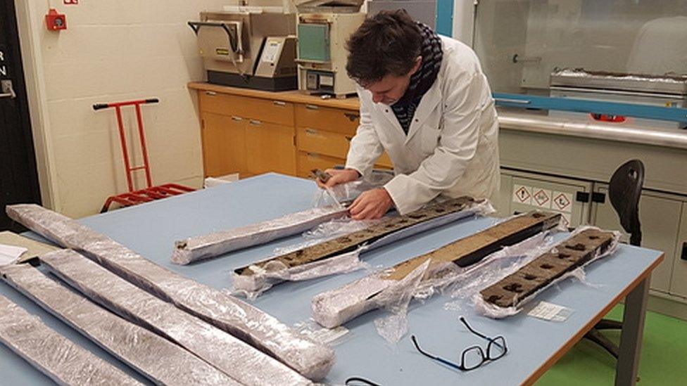 Sediment cores analysis