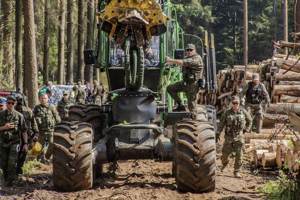 Logging machinery and workers in Bialowieza Forest in Poland