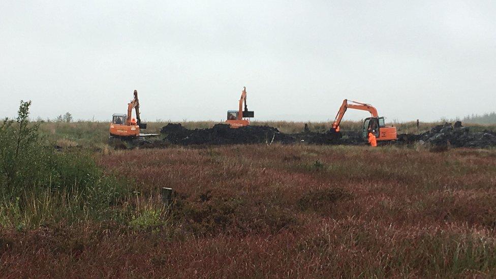 Diggers at Bragan bog