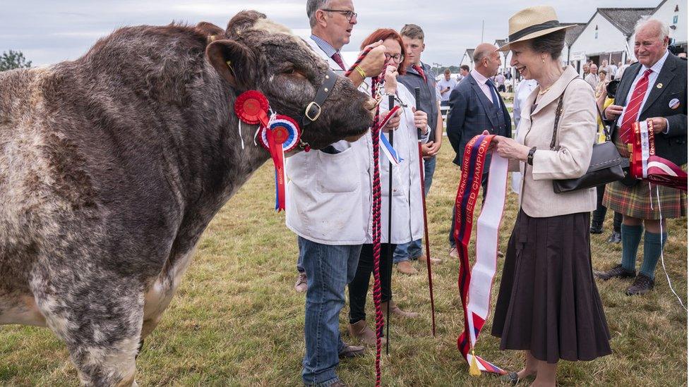 The Princess Royal during a visit to the Great Yorkshire Show at the Great Yorkshire Showground in Harrogate, North Yorkshire.