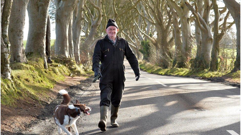 Fans of the Dark Hedges are happy that the road markings are being removed