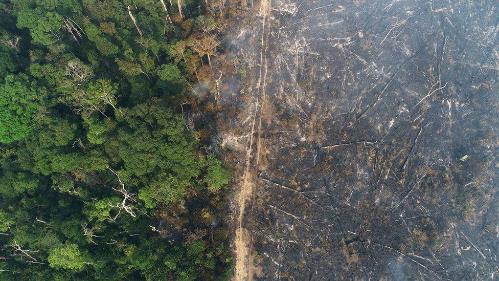 General view of a tract of the Amazon jungle which burns as it is cleared by loggers and farmers near Apui, Amazonas State, Brazil