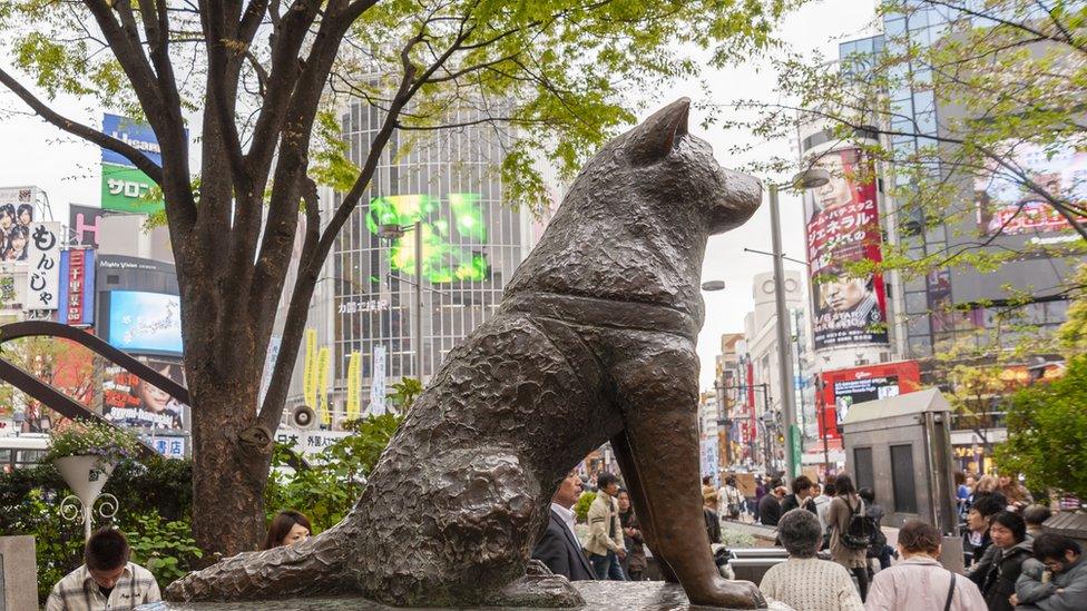 The Hachiko statue outside SHibuya station