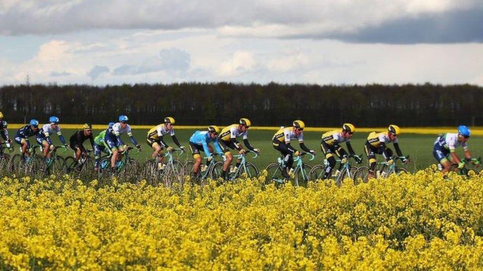 The petolon ride during the second stage of the 2016 Tour de Yorkshire