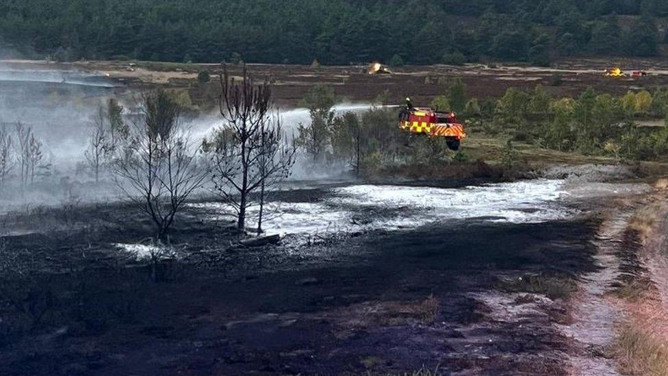 Scorched earth on Hankley Common