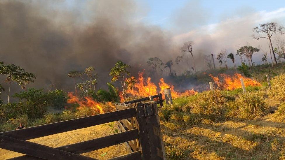 Fire burning in a land plot