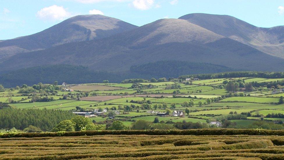 The Mourne mountains, as seen from Castlewellan Forest Park