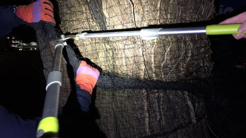 Climate activists cutting tree netting