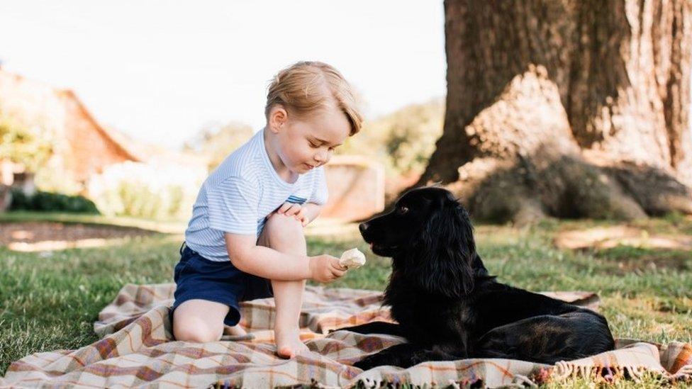 Prince George with family dog Lupo