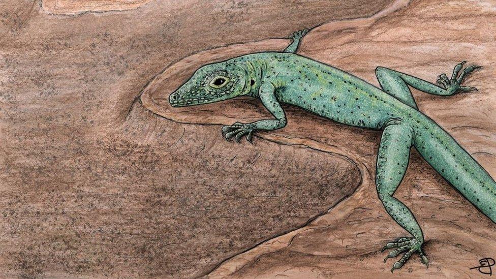 Artist impression of the lizard