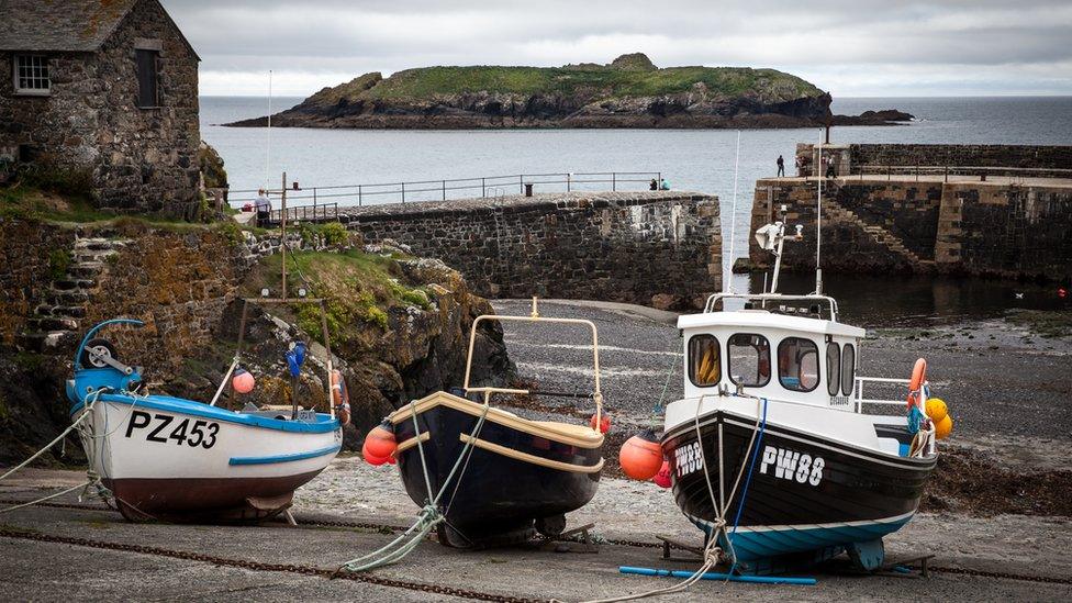 Mullion Island from Mullion harbour