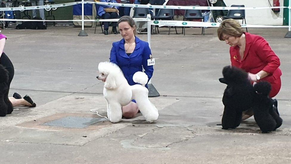 Sarah Fray, pictured with Polly at a previous dog show.