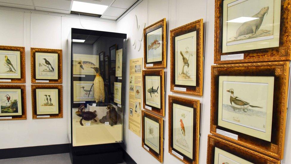 Exhibition space in the Captain Cook Birthplace Museum