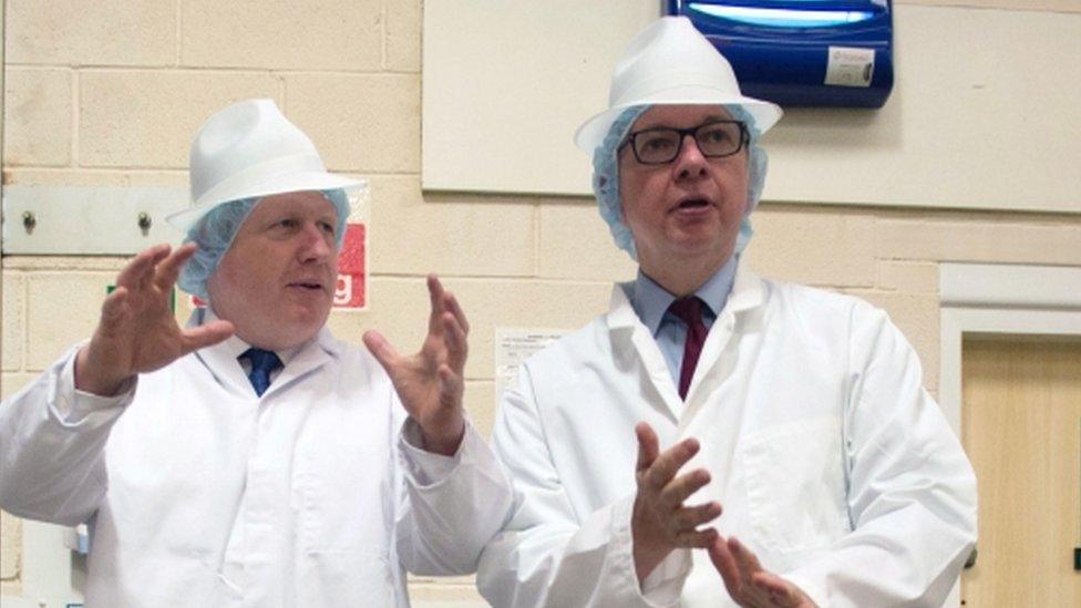 Boris Johnson and Michael Gove